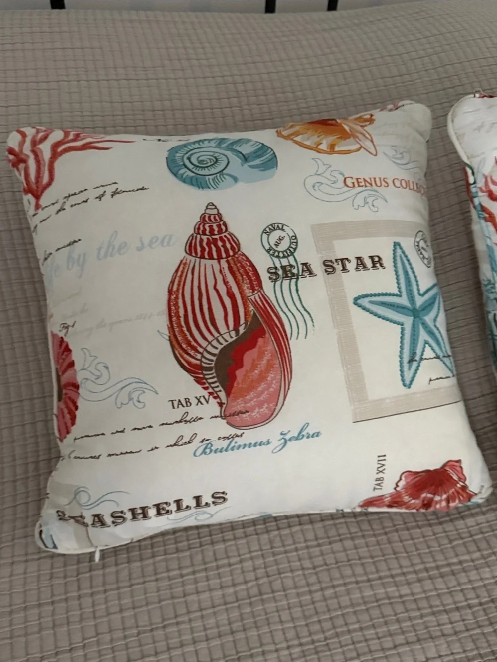 Coastal Shell Print Decorative Throw Pillows (2) Cream with Teal & Coral Accents
